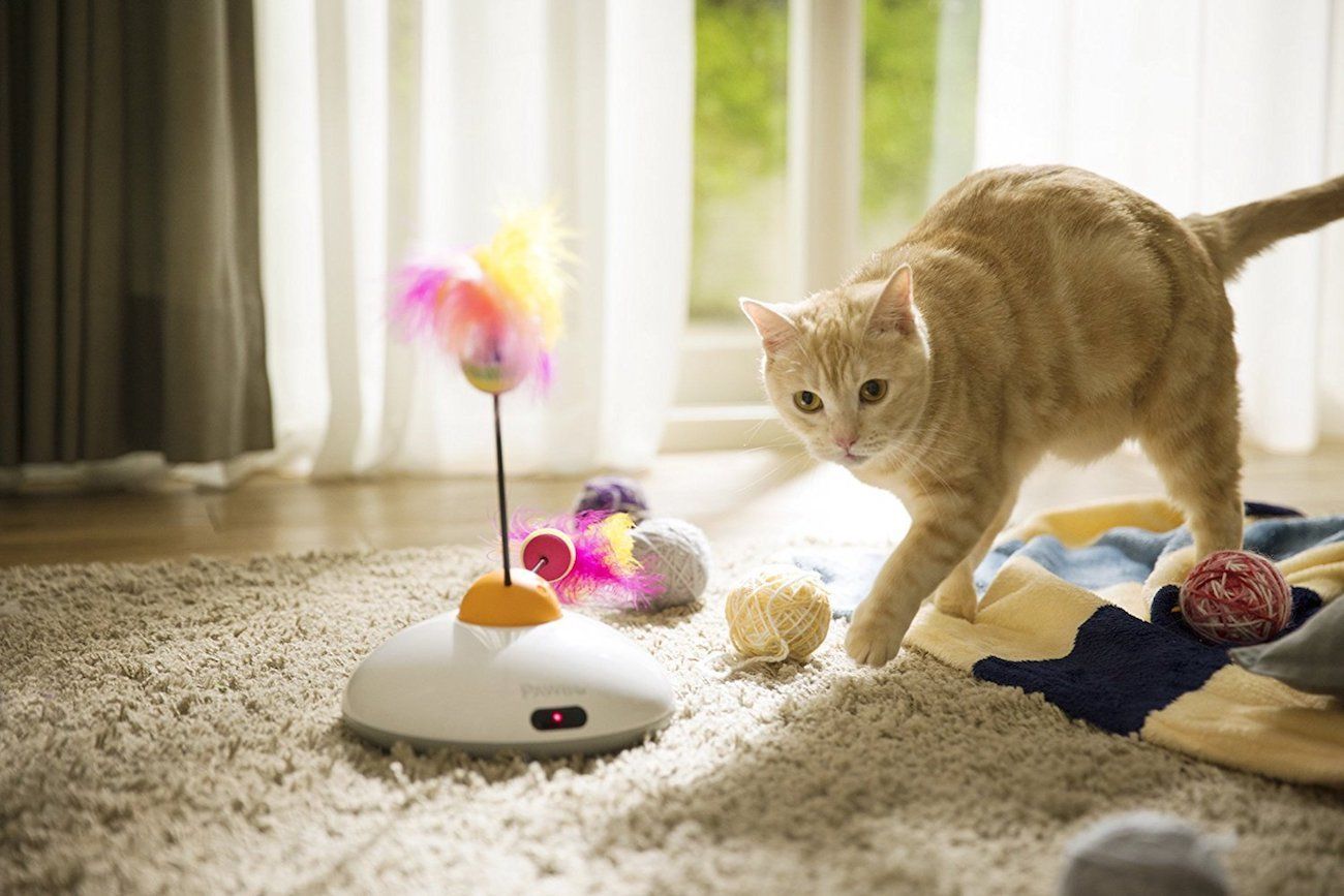 Top Lifestyle Gadgets for Cats