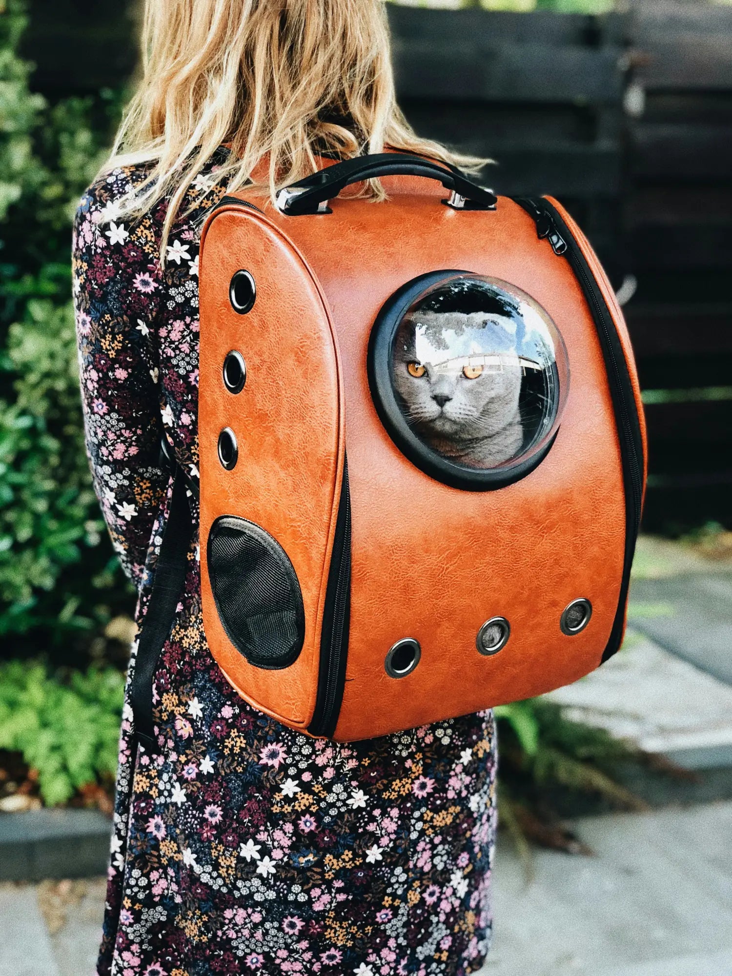 Cat Back Pack Travel