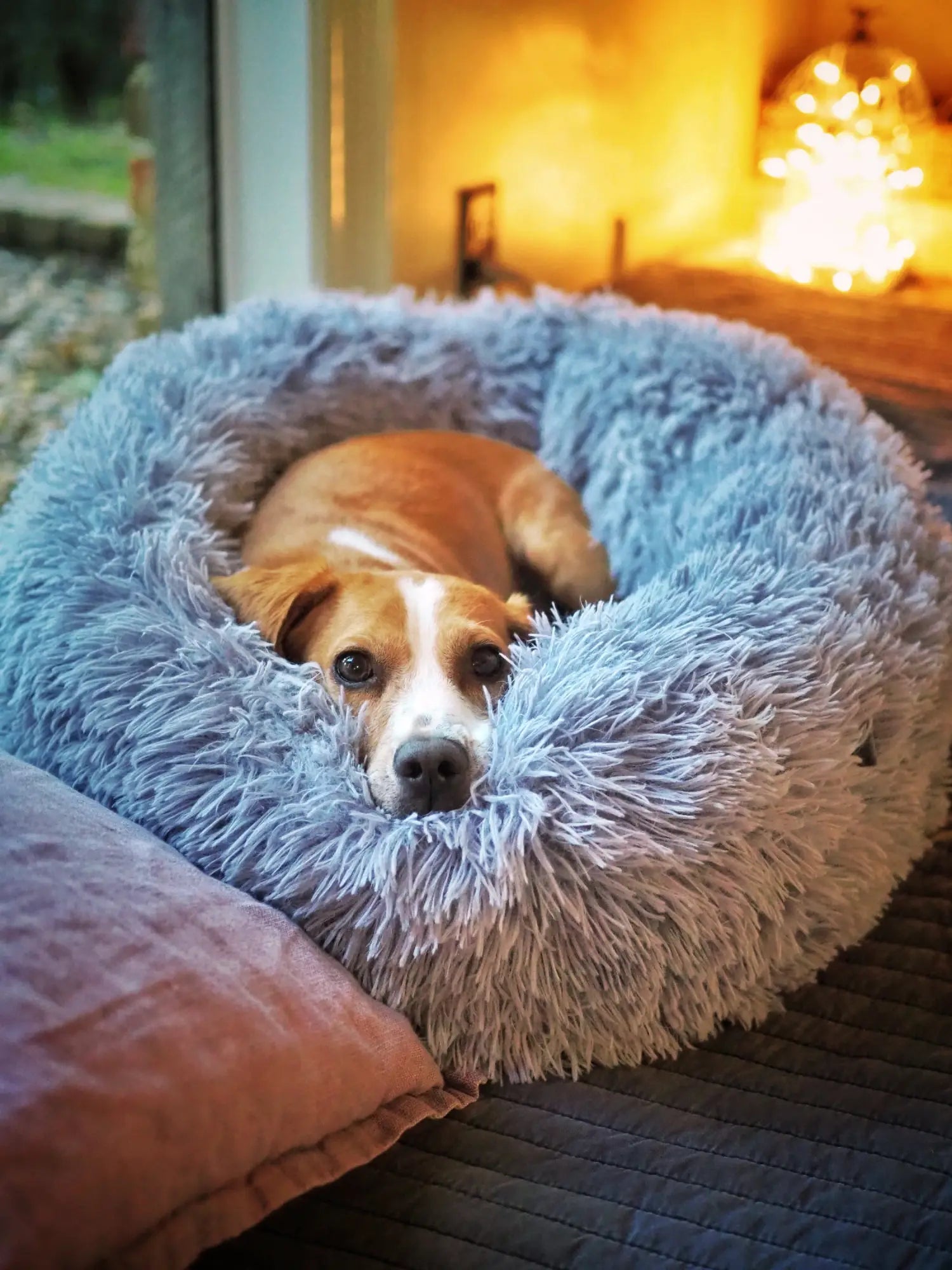 Pet Beds & Dog Mats Collection