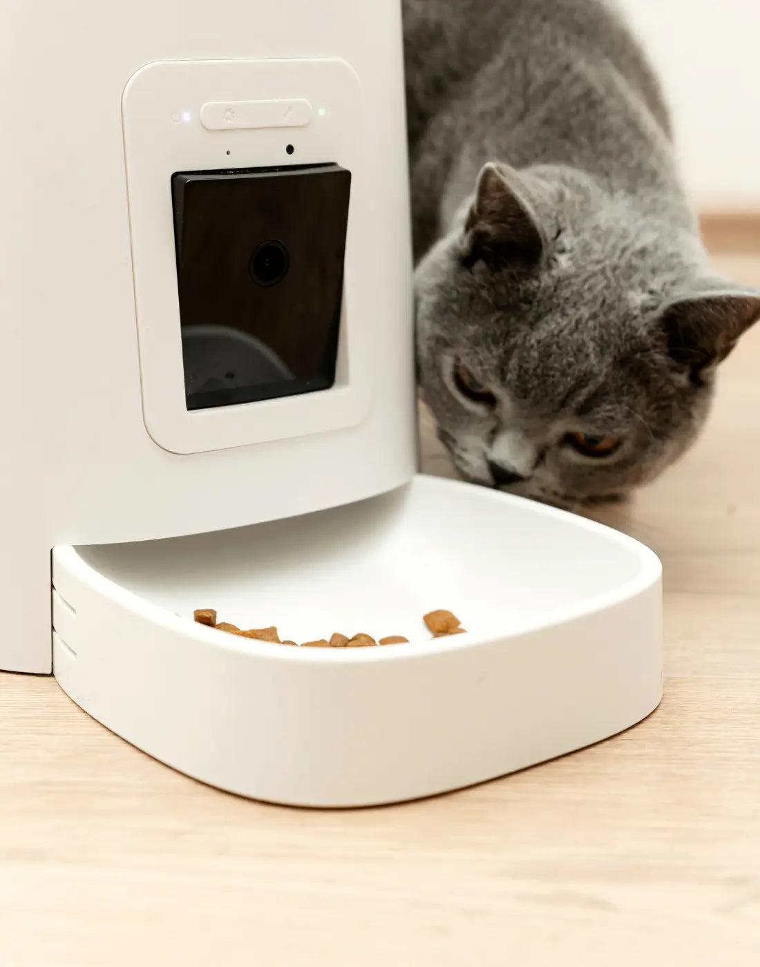 Cat Automatic Feeder 