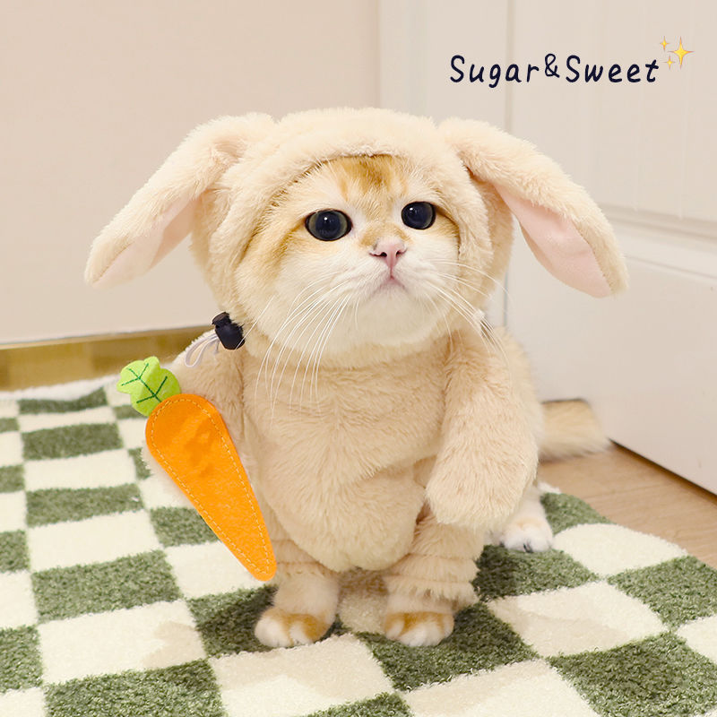 Rabbit Pet Costume