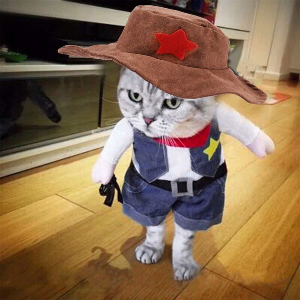 Cowboy Pet Costume