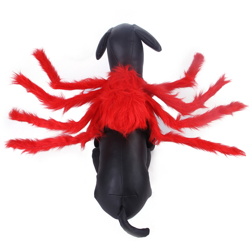 Cat Spider Costume