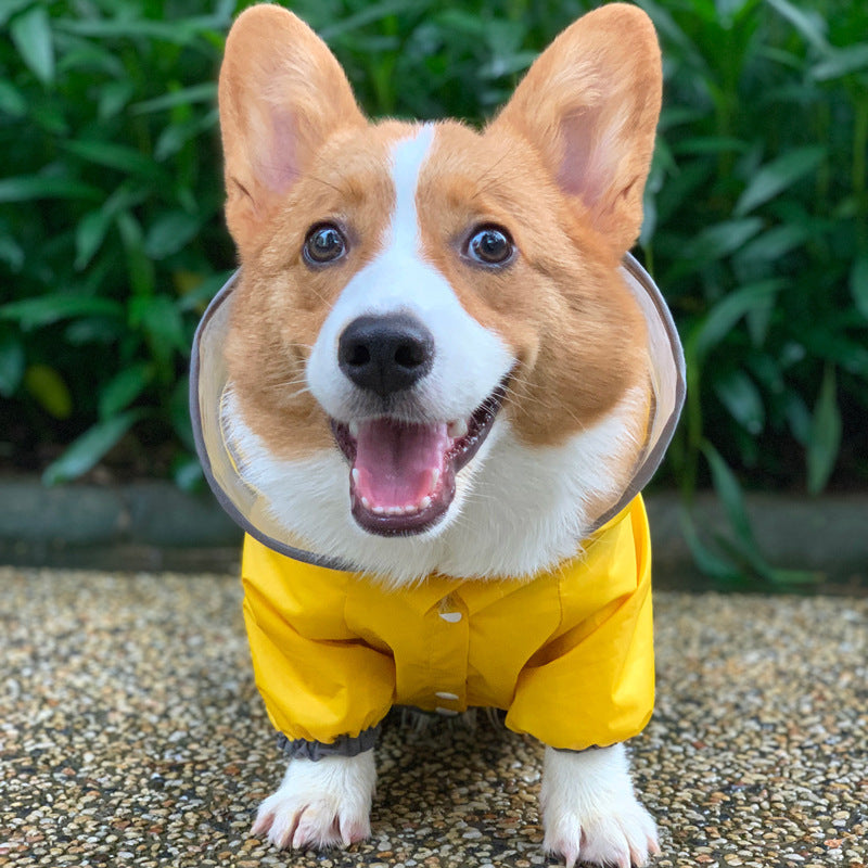 Four-Legged Waterproof Pet Raincoat