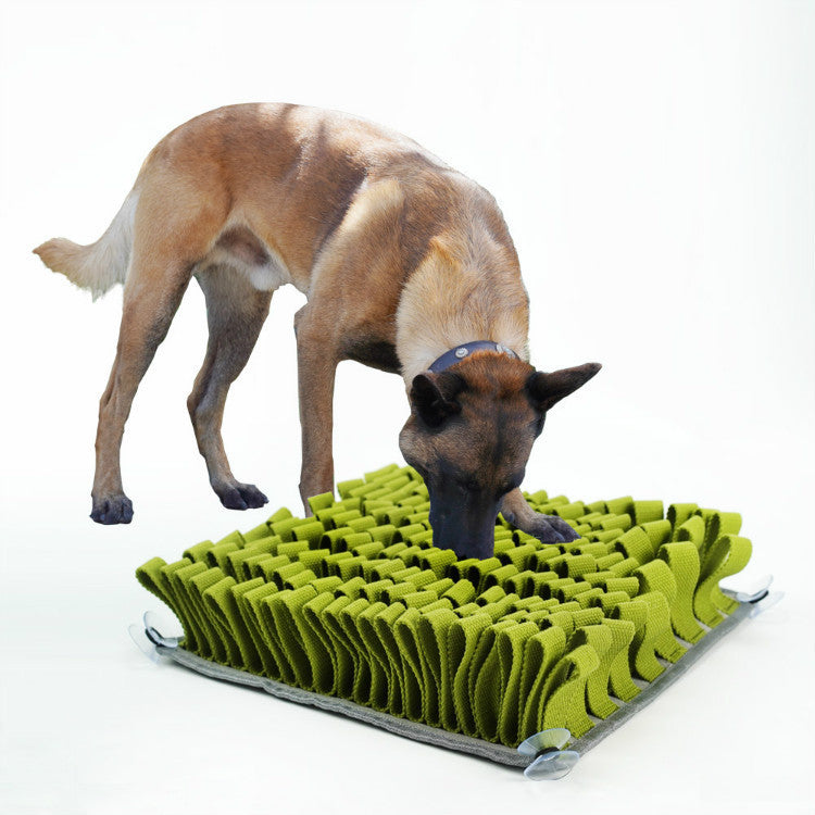 Pet Bite-Resistant Dog Sniff Mat