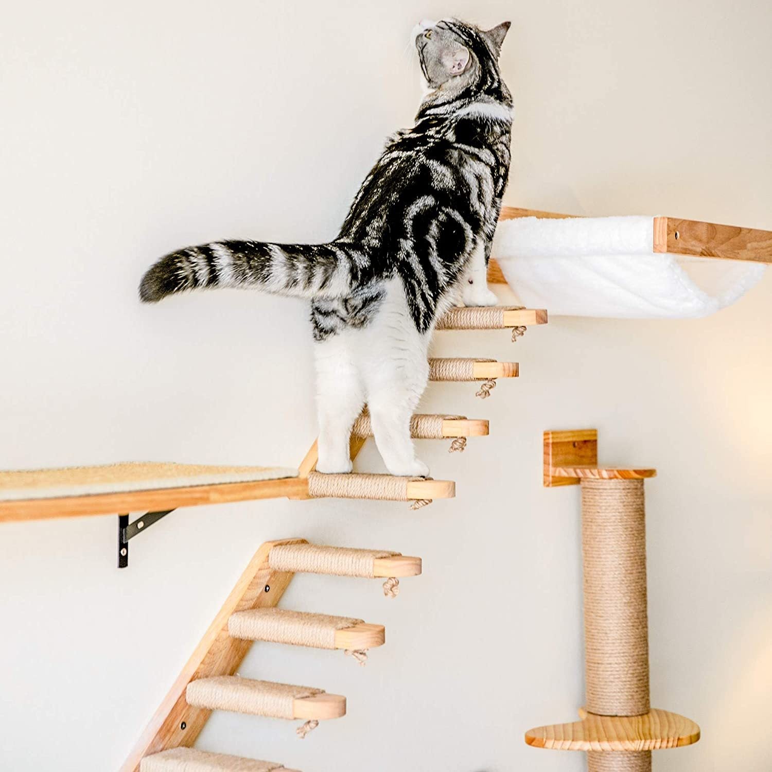 Cat Wooden Wall-Mounted Pine Springboard Stairs