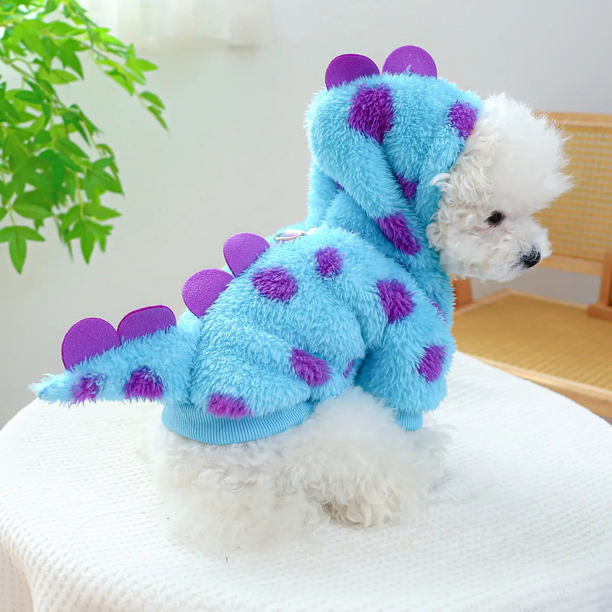 Magical & Casual Pet Costumes Collection