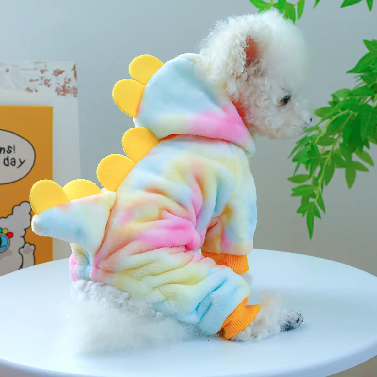 Magical & Casual Pet Costumes Collection