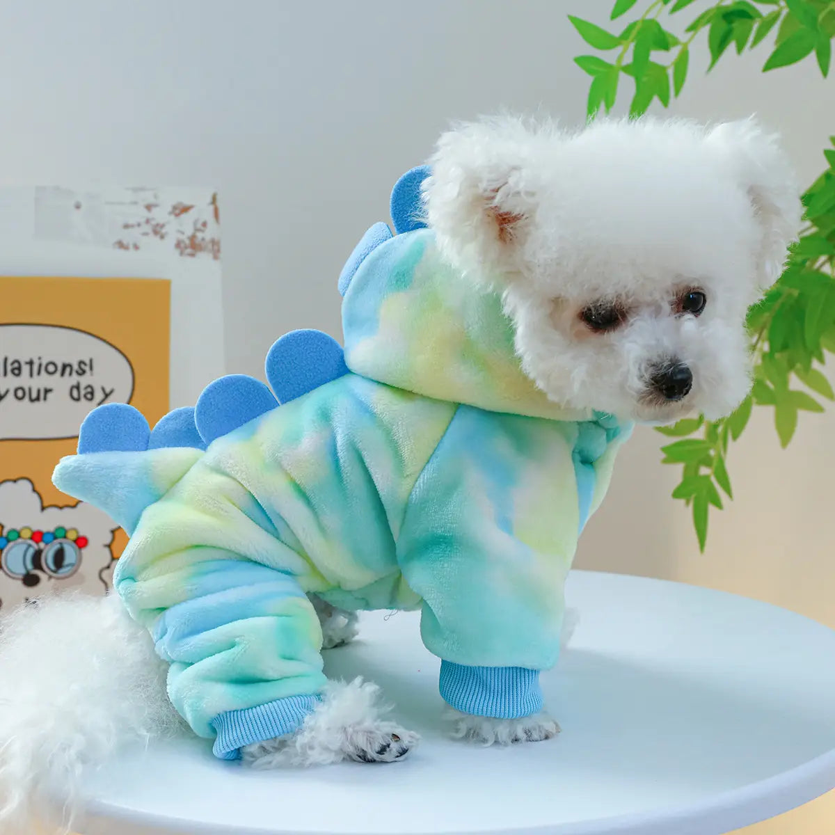 Magical & Casual Pet Costumes Collection