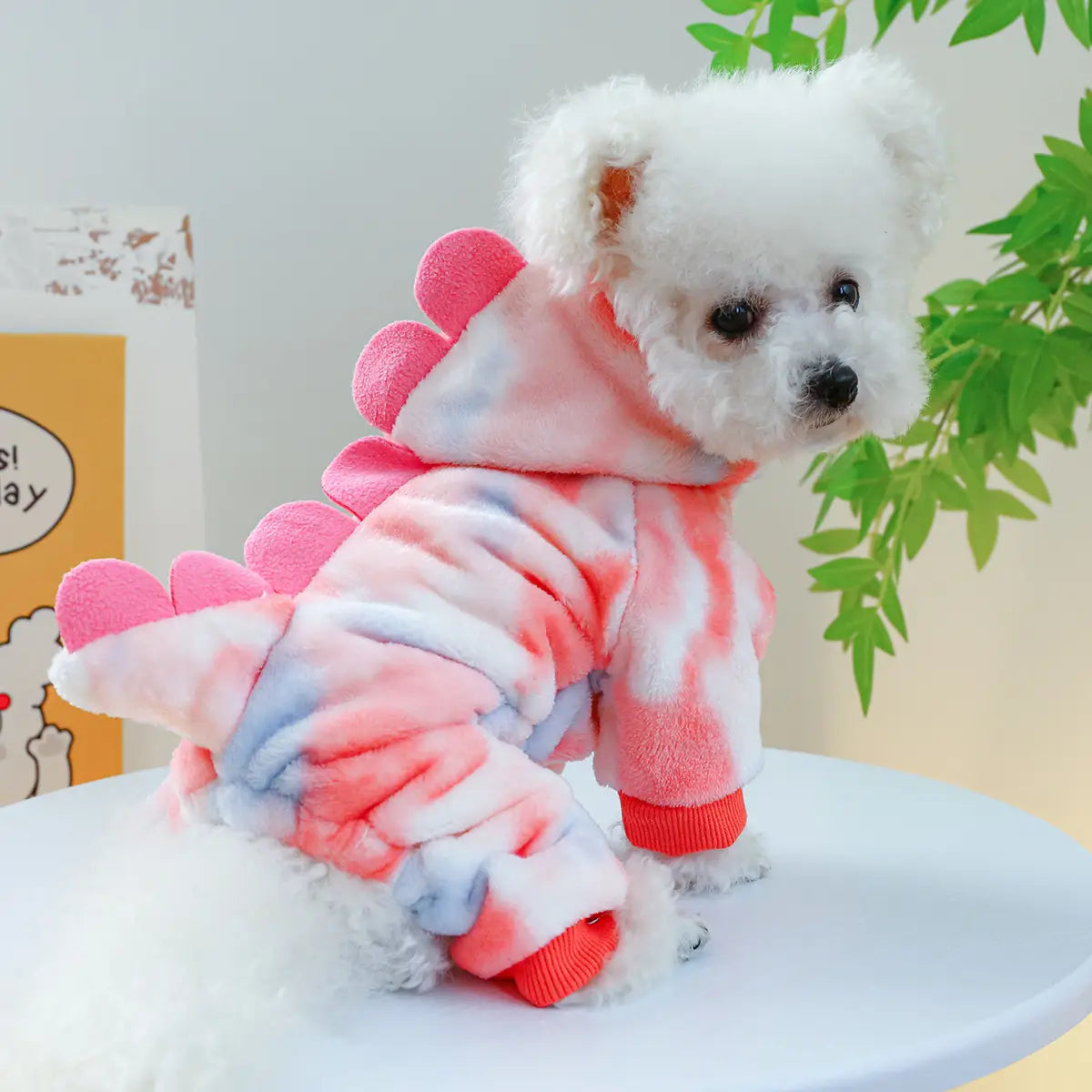 Magical & Casual Pet Costumes Collection