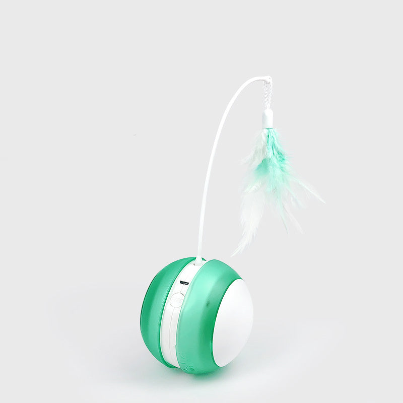 Interactive Pet Toy Ball