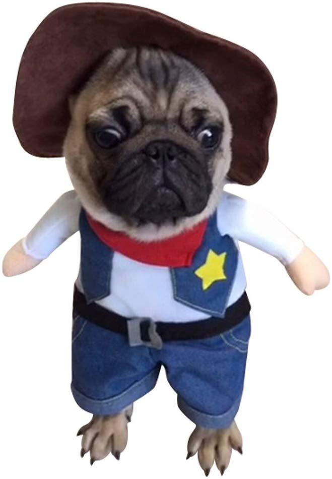 Cowboy Pet Costume