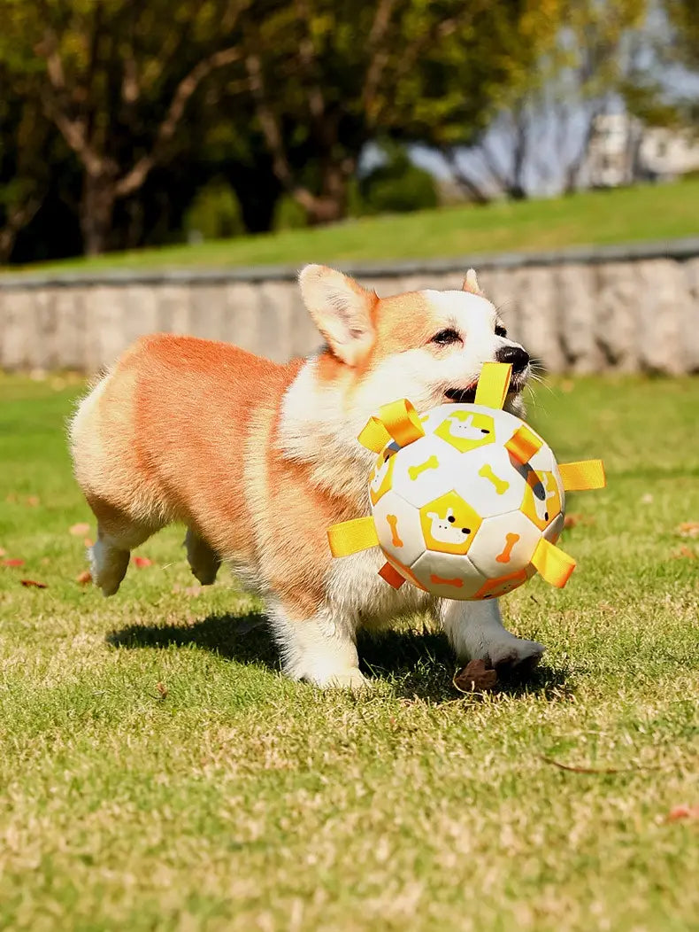 Kick & Play: Interactive Football for Dogs