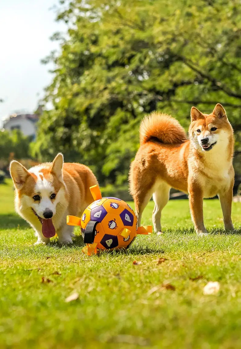 Kick & Play: Interactive Football for Dogs