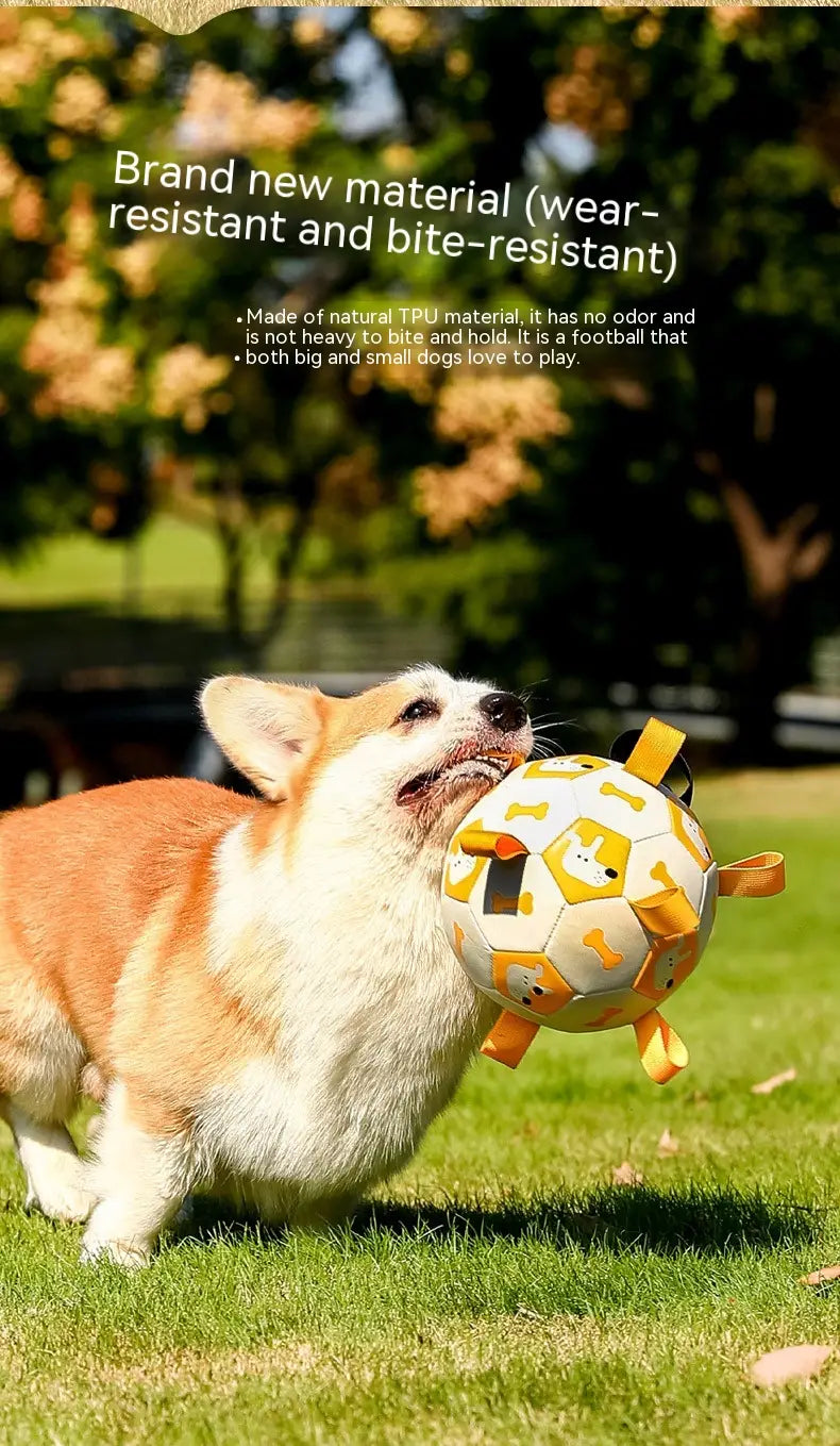 Kick & Play: Interactive Football for Dogs