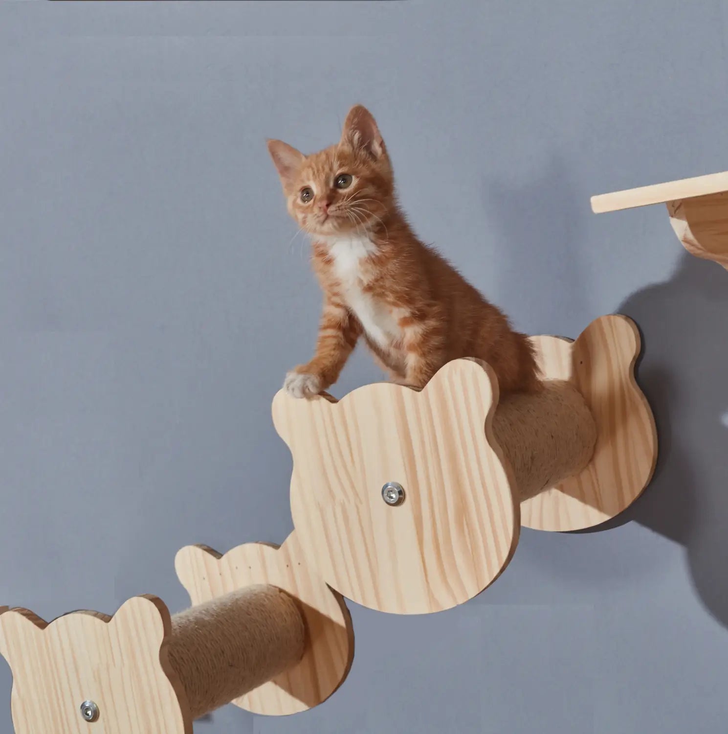 ClimbCraft: Solid Wood DIY Wall-Mounted Sisal Pole & Cat Toy Platform