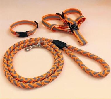 Glow In The Dark Dog Rope Leash