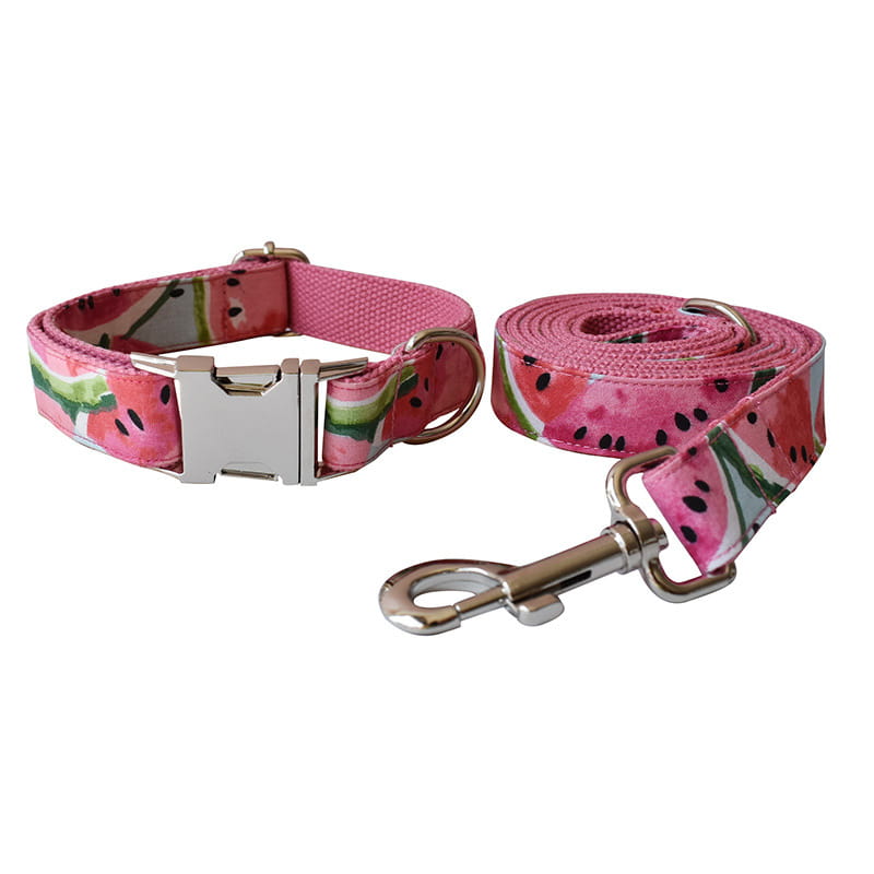 Watermelon Dog Collar and Tow Rope