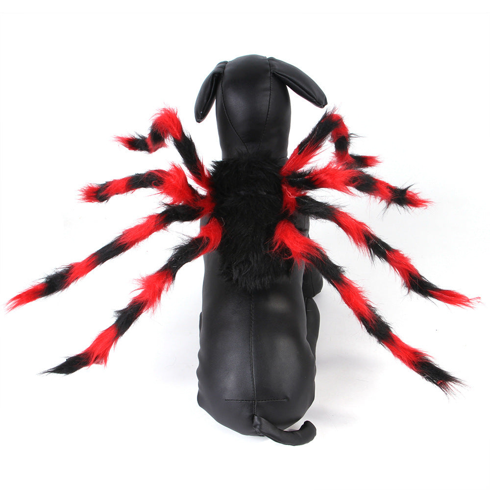 Cat Spider Costume