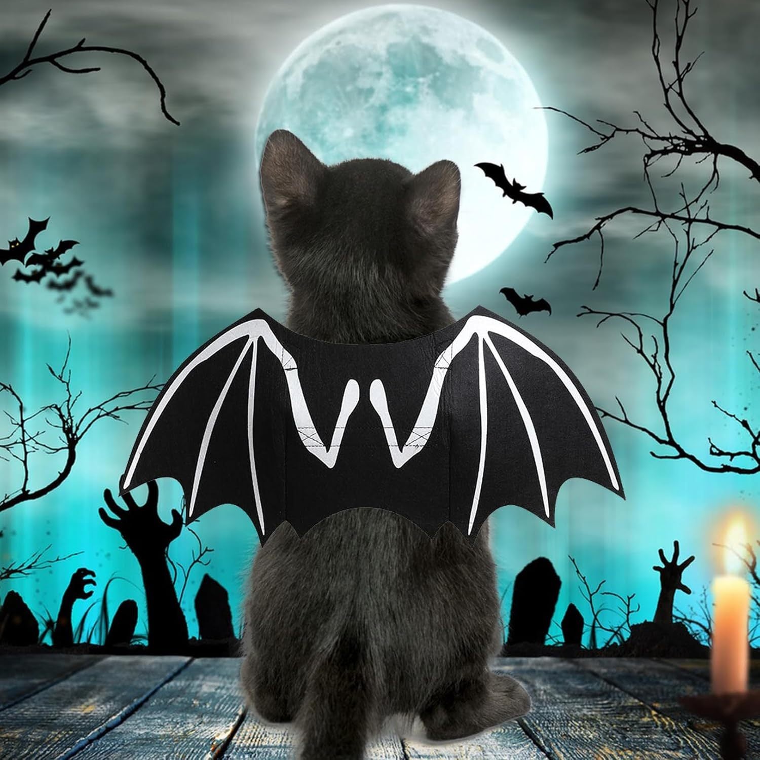 Bat Costume Cool Luminous Skeleton Bone Bat Wings Pets