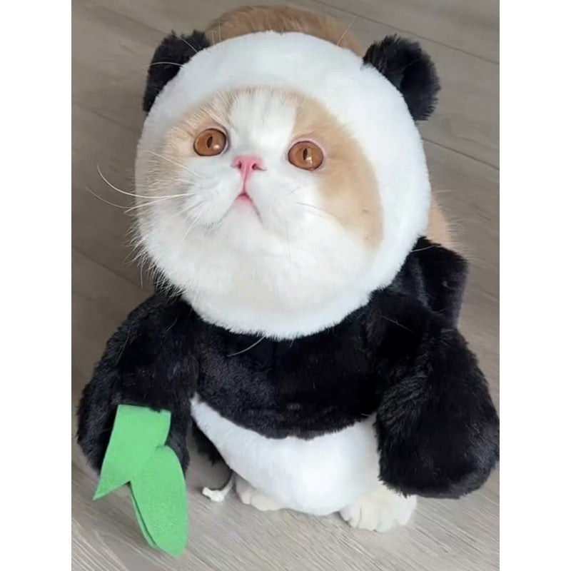 Rabbit Pet Costume