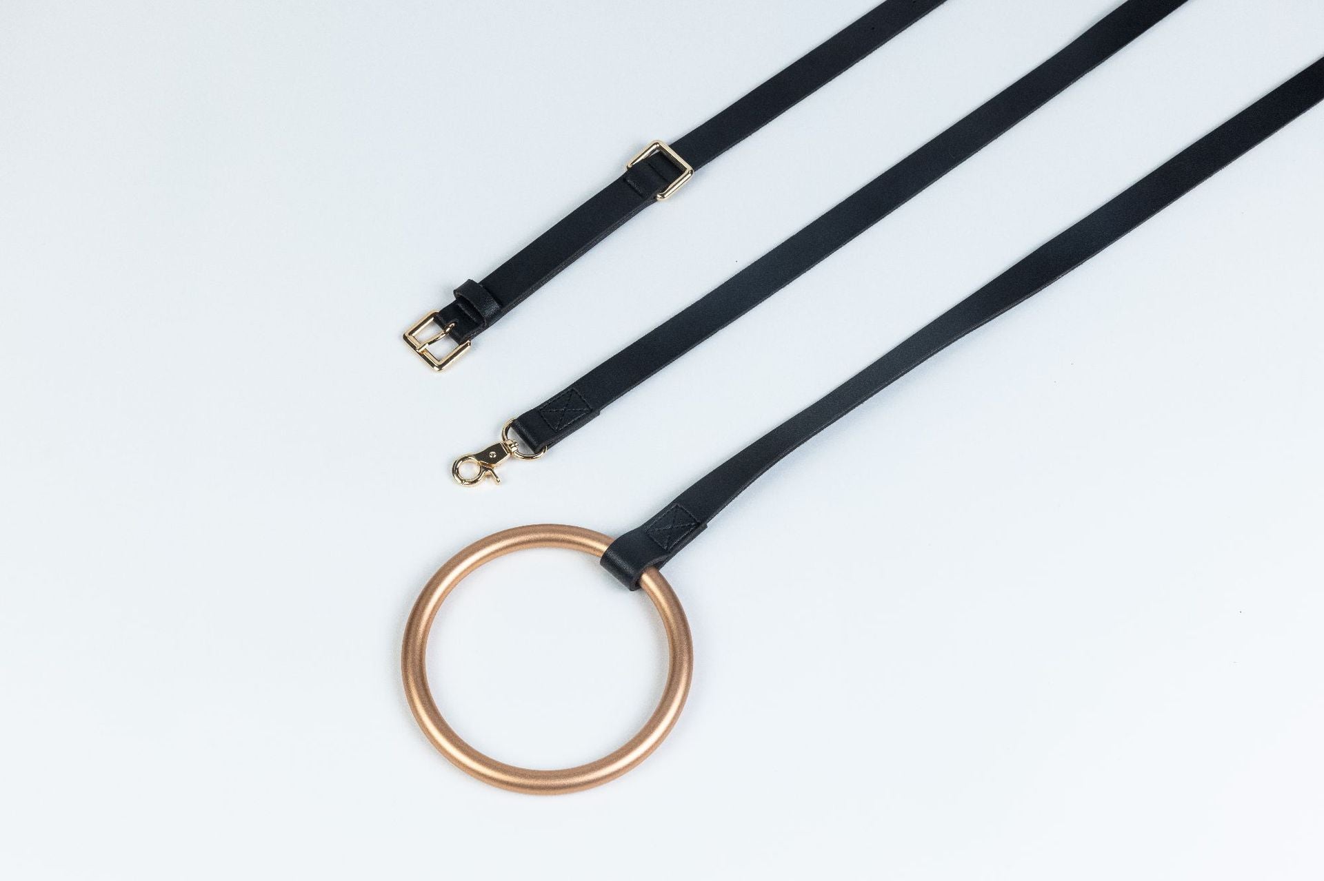 Leather Dog Leash with Stylish Ring Handle