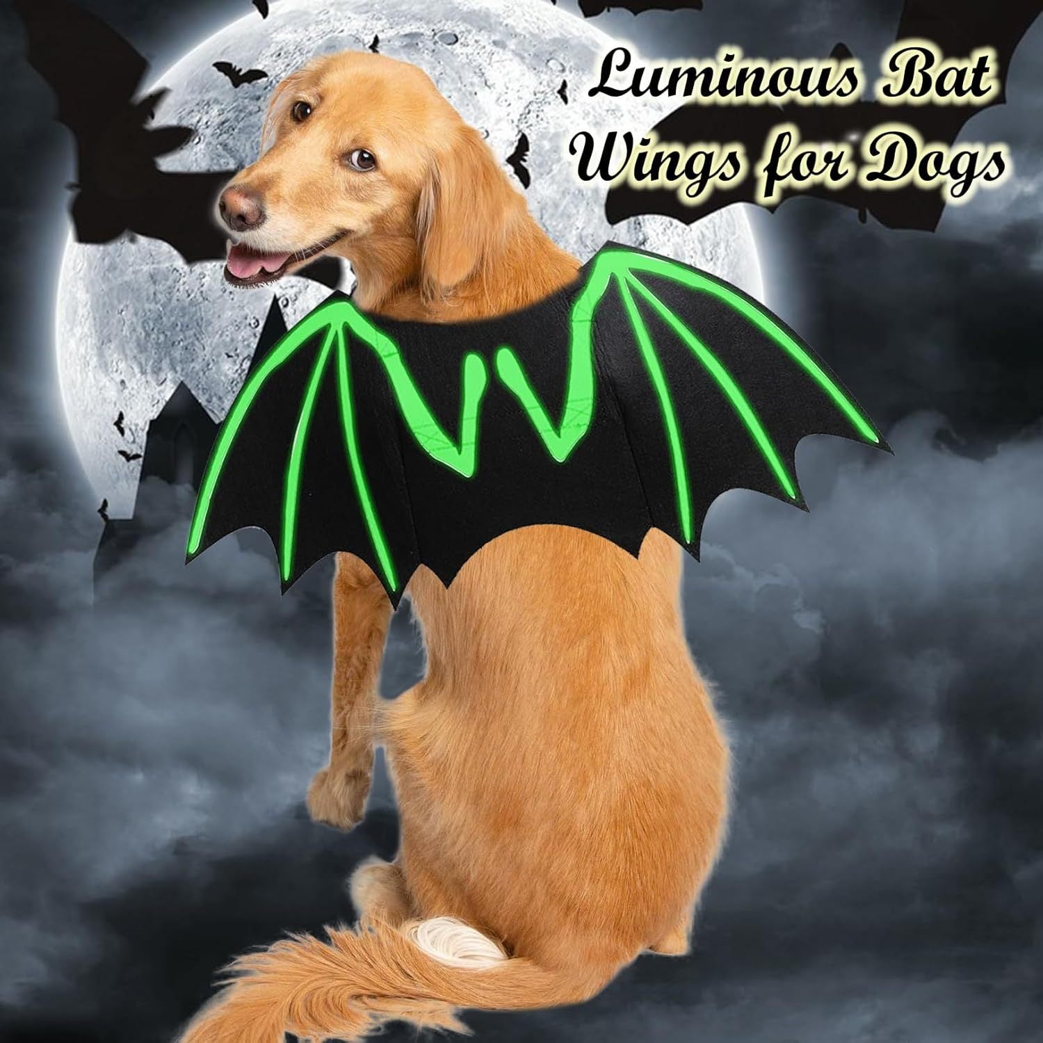 Bat Costume Cool Luminous Skeleton Bone Bat Wings Pets