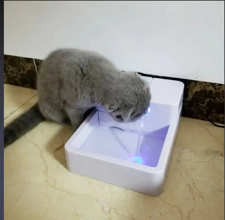 HydroGuard: Light Filter Circulating Pet Drinking Fountain