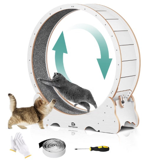 Cat Exercise Treadmill With Carpeted Runway