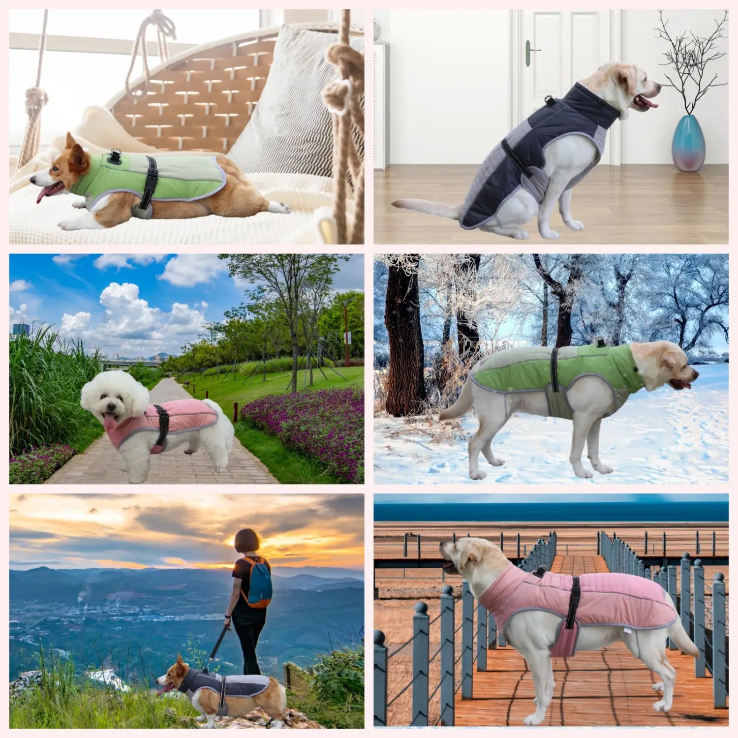 Reflect & Protect: Pet Vest with Reflective Detail