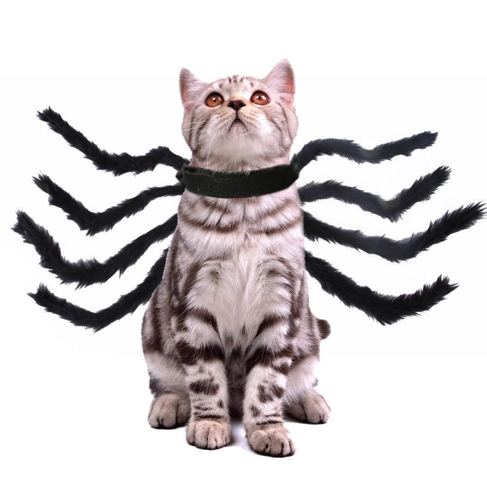 Cat Spider Costume