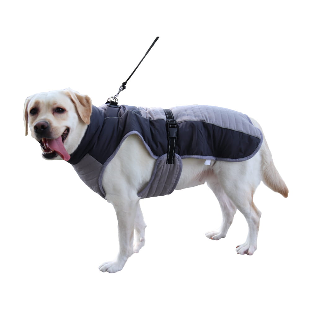 Reflect & Protect: Pet Vest with Reflective Detail