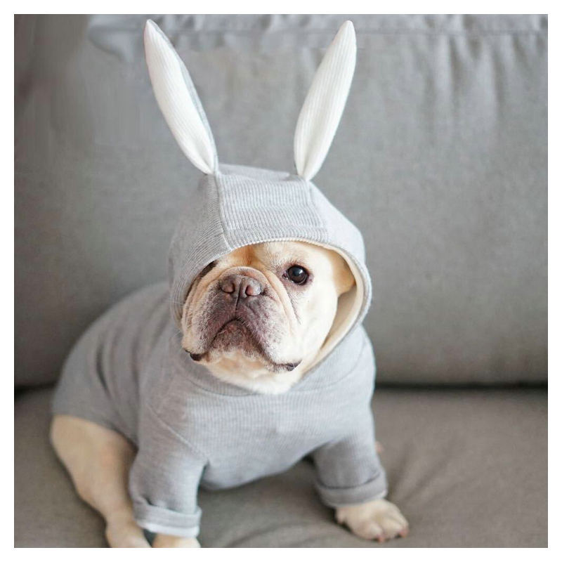 Rabbit ears costume