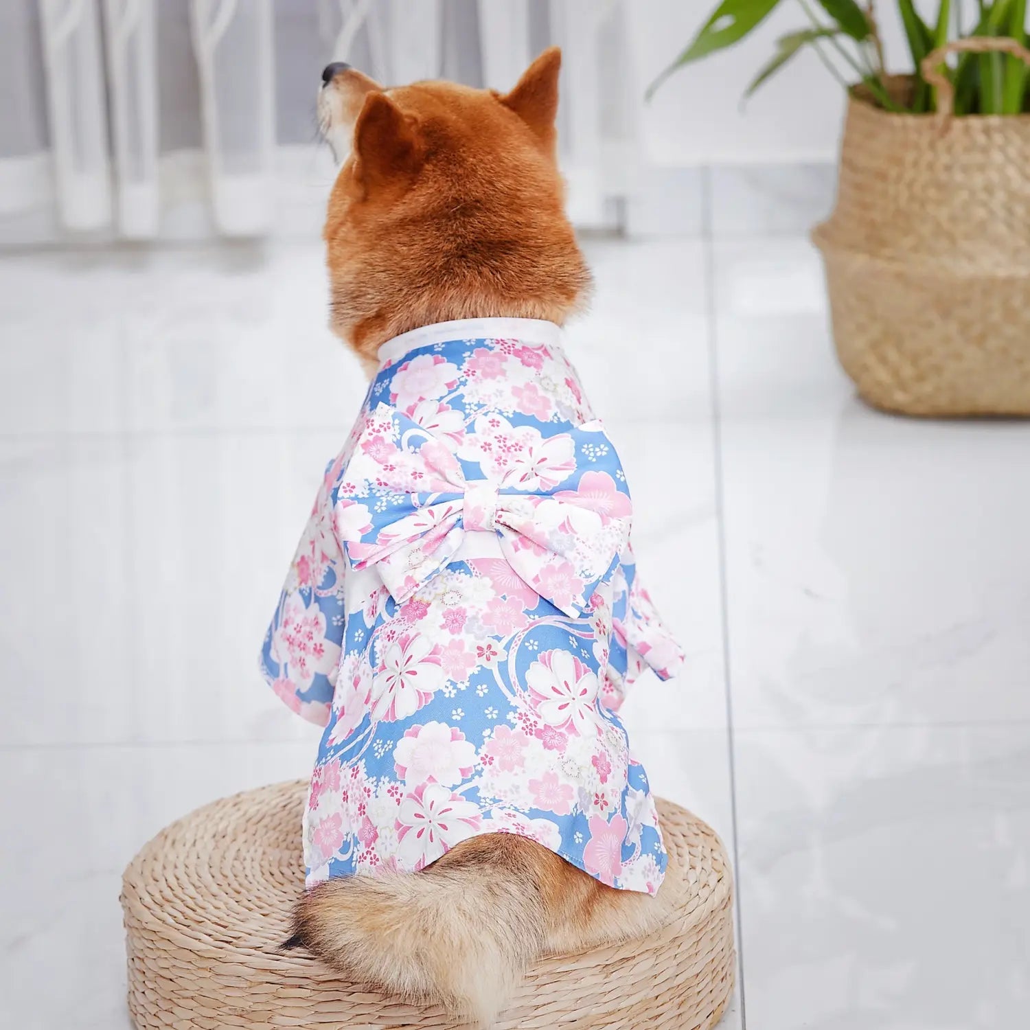 Fashion Kimono for Pets