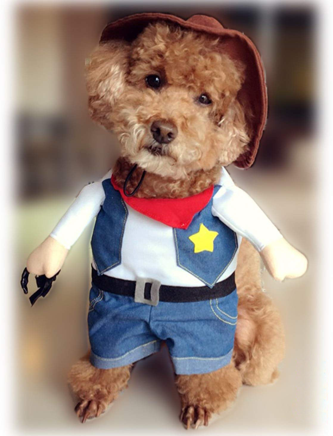 Cowboy Pet Costume