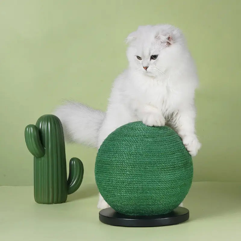 CactiClaw: Cactus-Shaped Cat Scratching Ball Toy