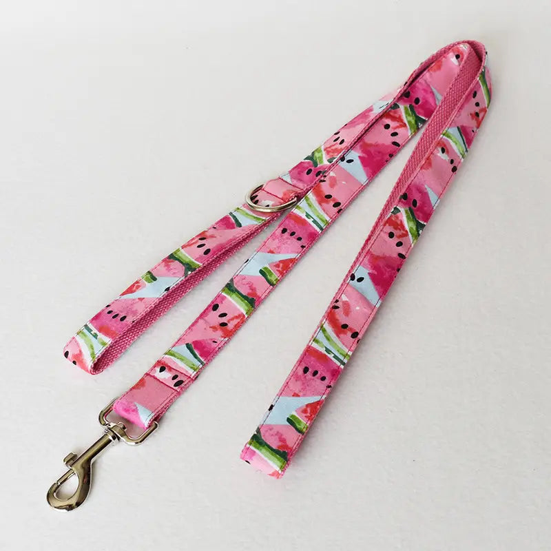 Watermelon Dog Collar and Tow Rope