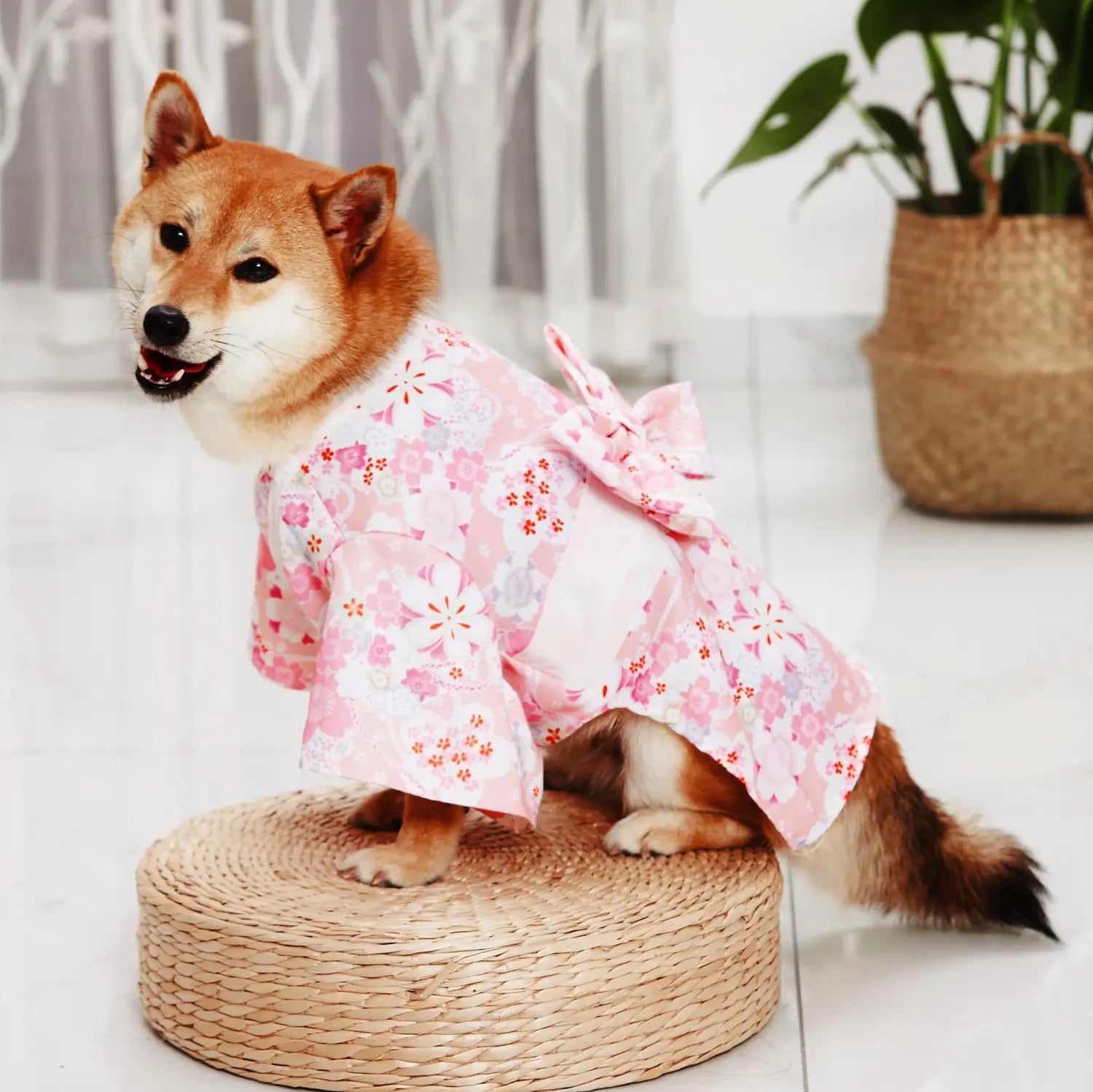 Fashion Kimono for Pets