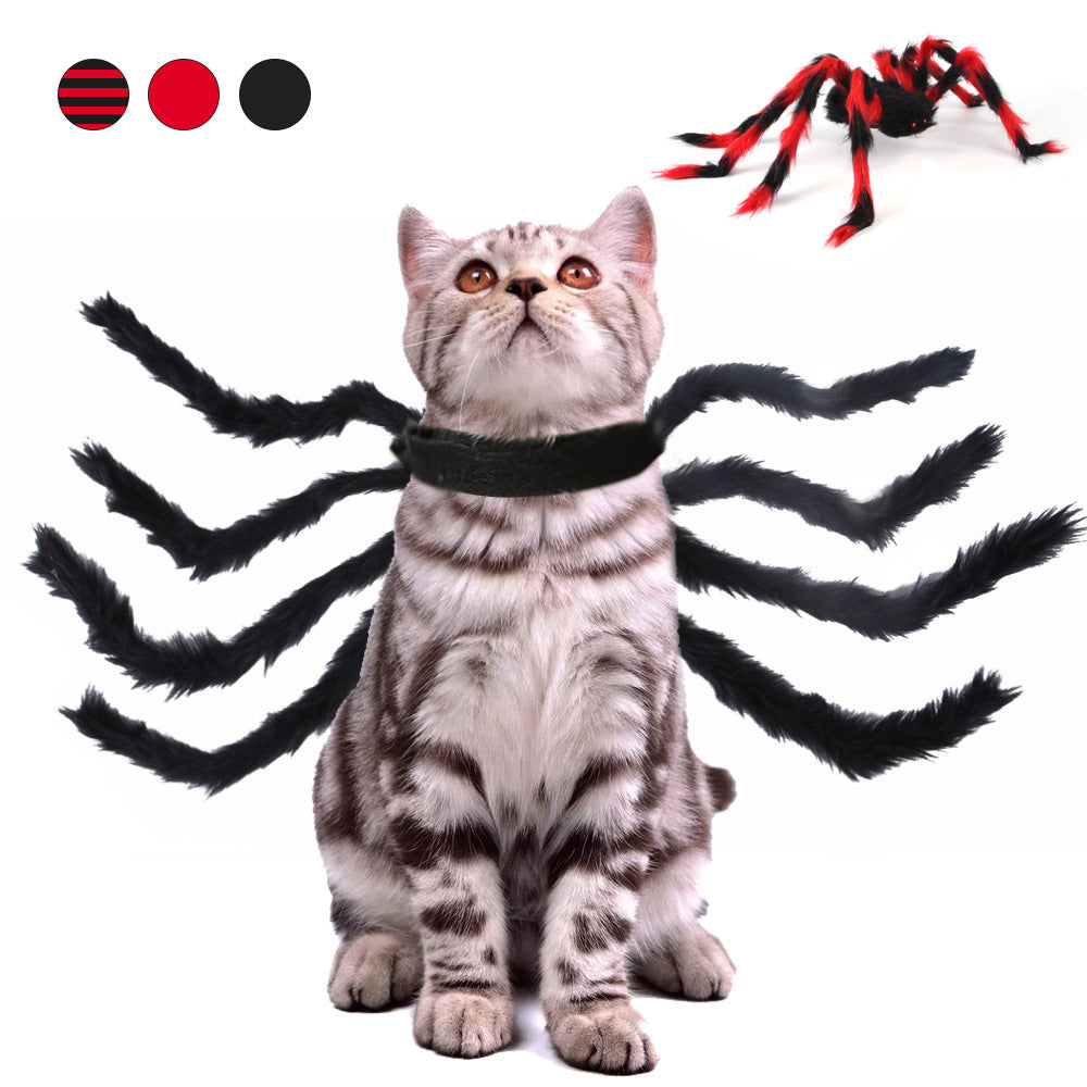 Cat Spider Costume