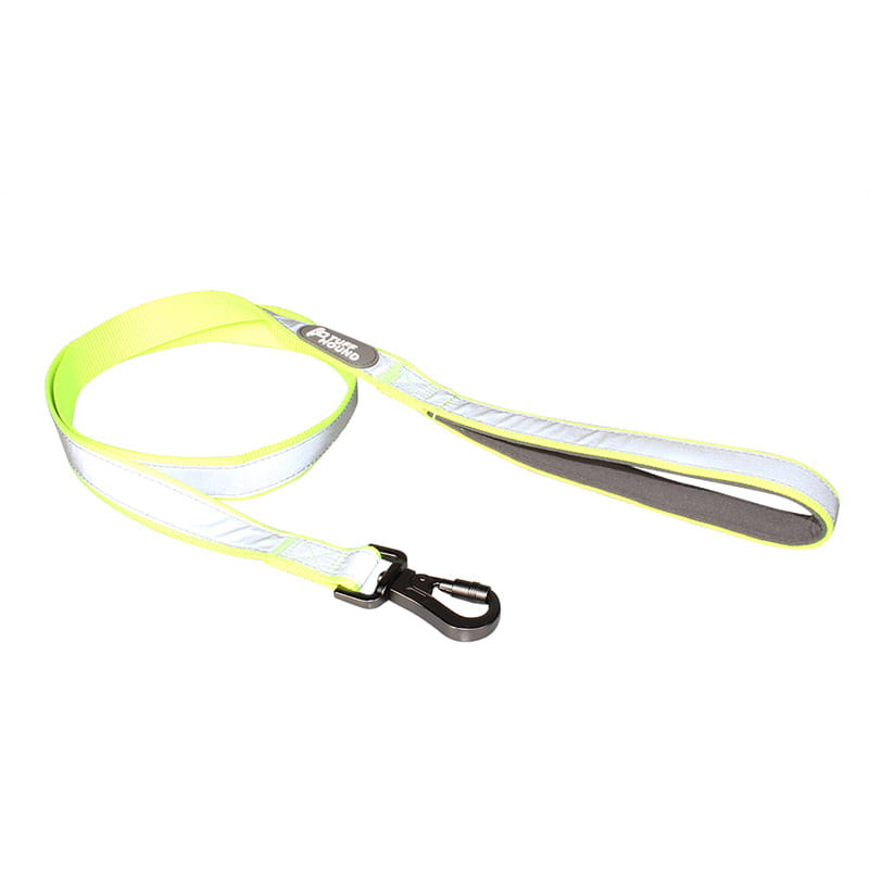 GlowTrack: Reflective Dog Collar and Leash Set