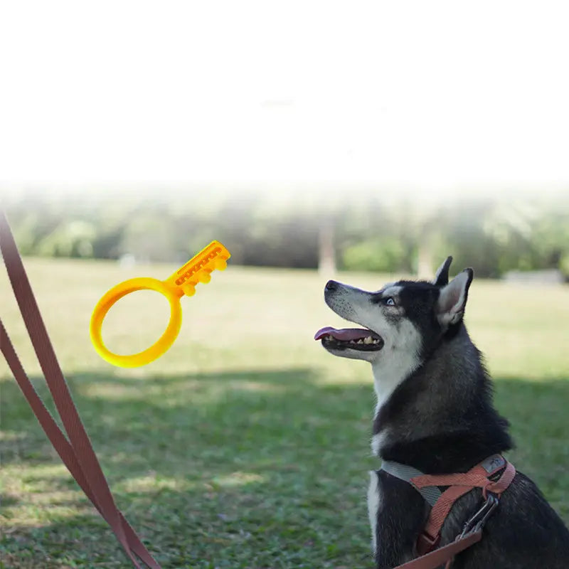 AquaChew: Floating ChewToy for Dogs