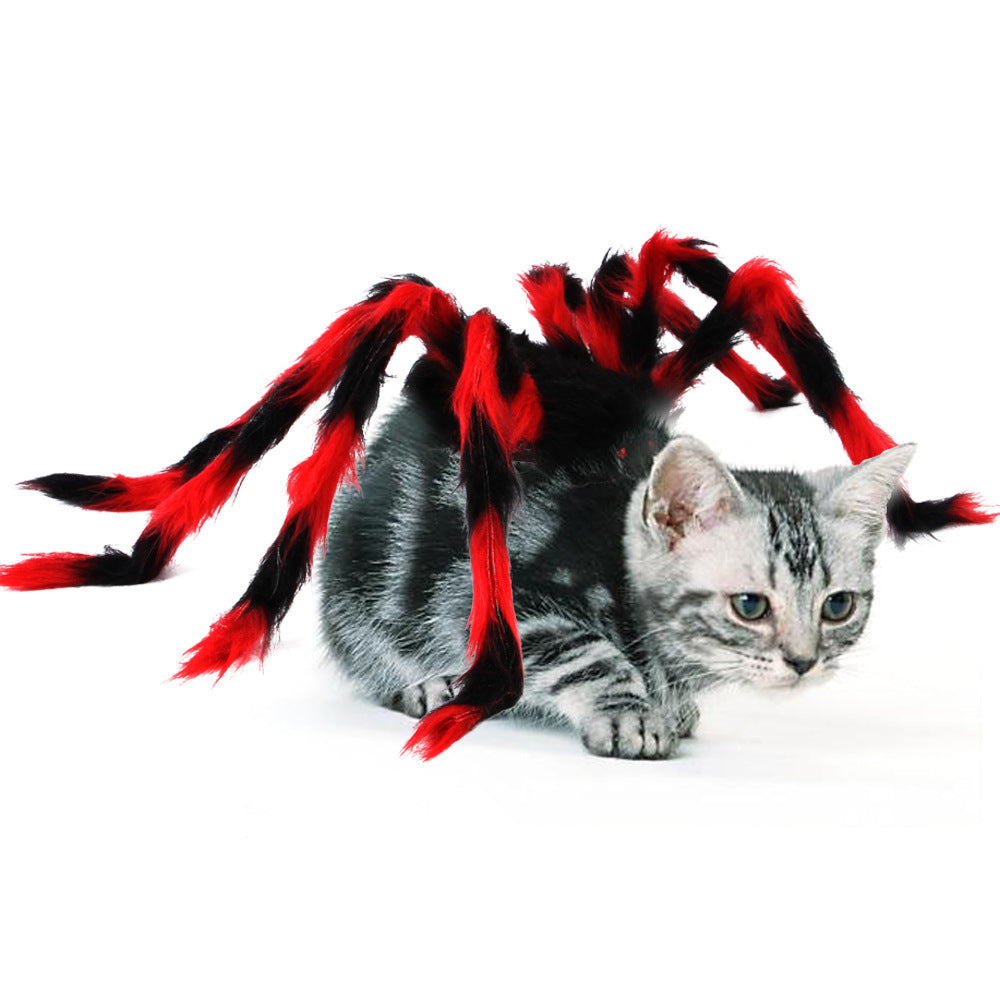 Cat Spider Costume