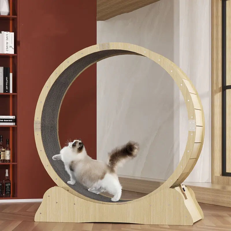 PurrFit: Cat-Specific Treadmill Fitness Roller