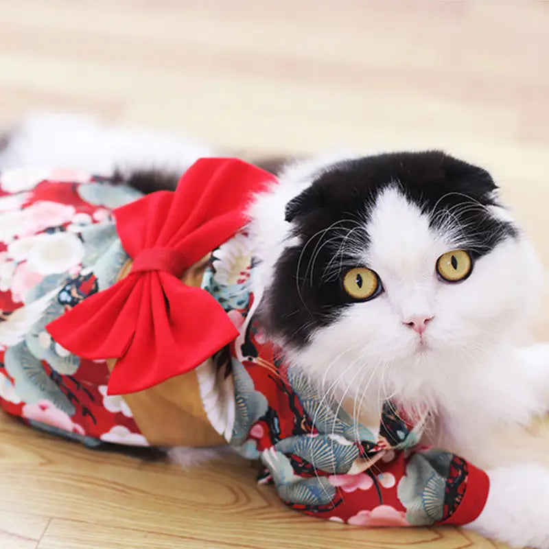 Fashion Kimono for Pets