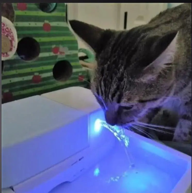 HydroGuard: Light Filter Circulating Pet Drinking Fountain