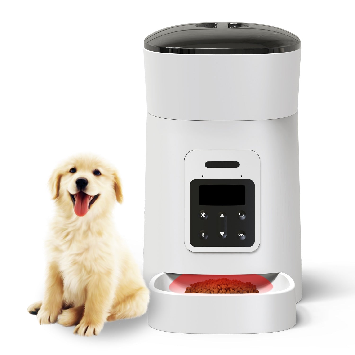 Automatic Pet Feeder - White - Pet Feeder