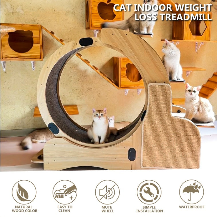 5-in-1 Cat Sport Running Wheel Cat Wheel Wooden Climbing Frame