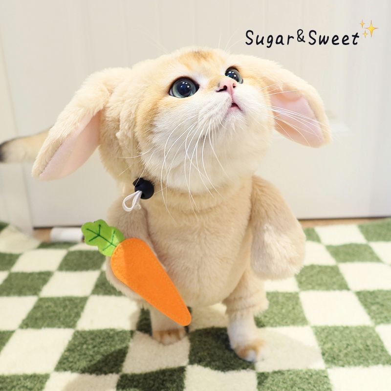 Rabbit Pet Costume