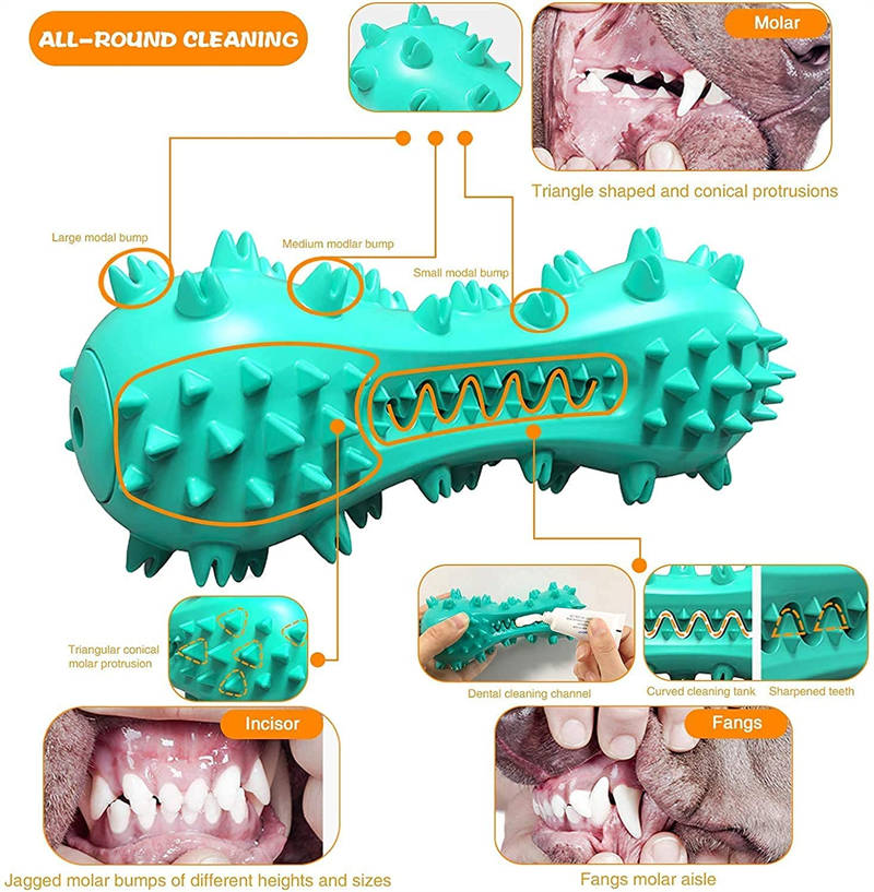 BiteClean: Rubber Molar Stick for Dog Dental Health - Blue