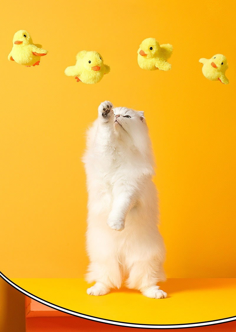 Bouncy Buddy: Flapping Duck Cat Toy - USB